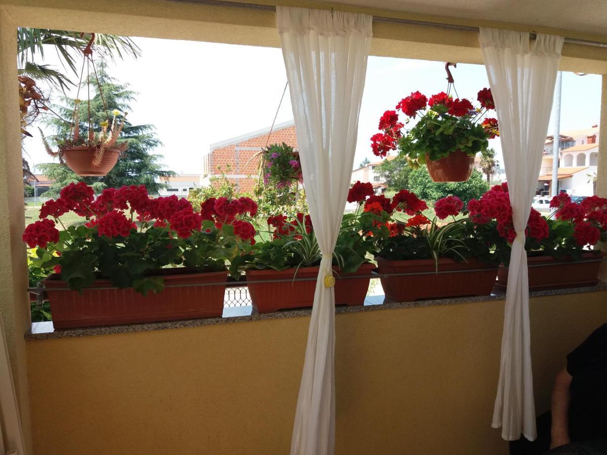 Apartman Luka Fažana Kültér fotó